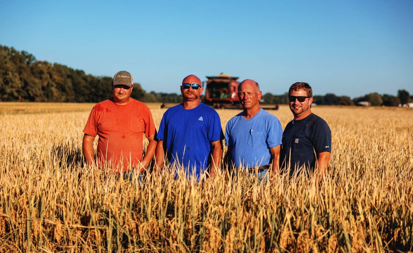 White Rice 2.5lb bag | Tennemo Rice