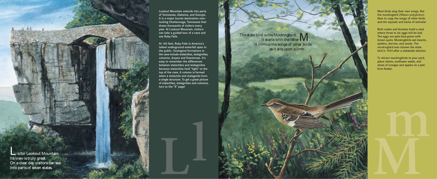 V is for Volunteer: A Tennessee Alphabet Picture Book
