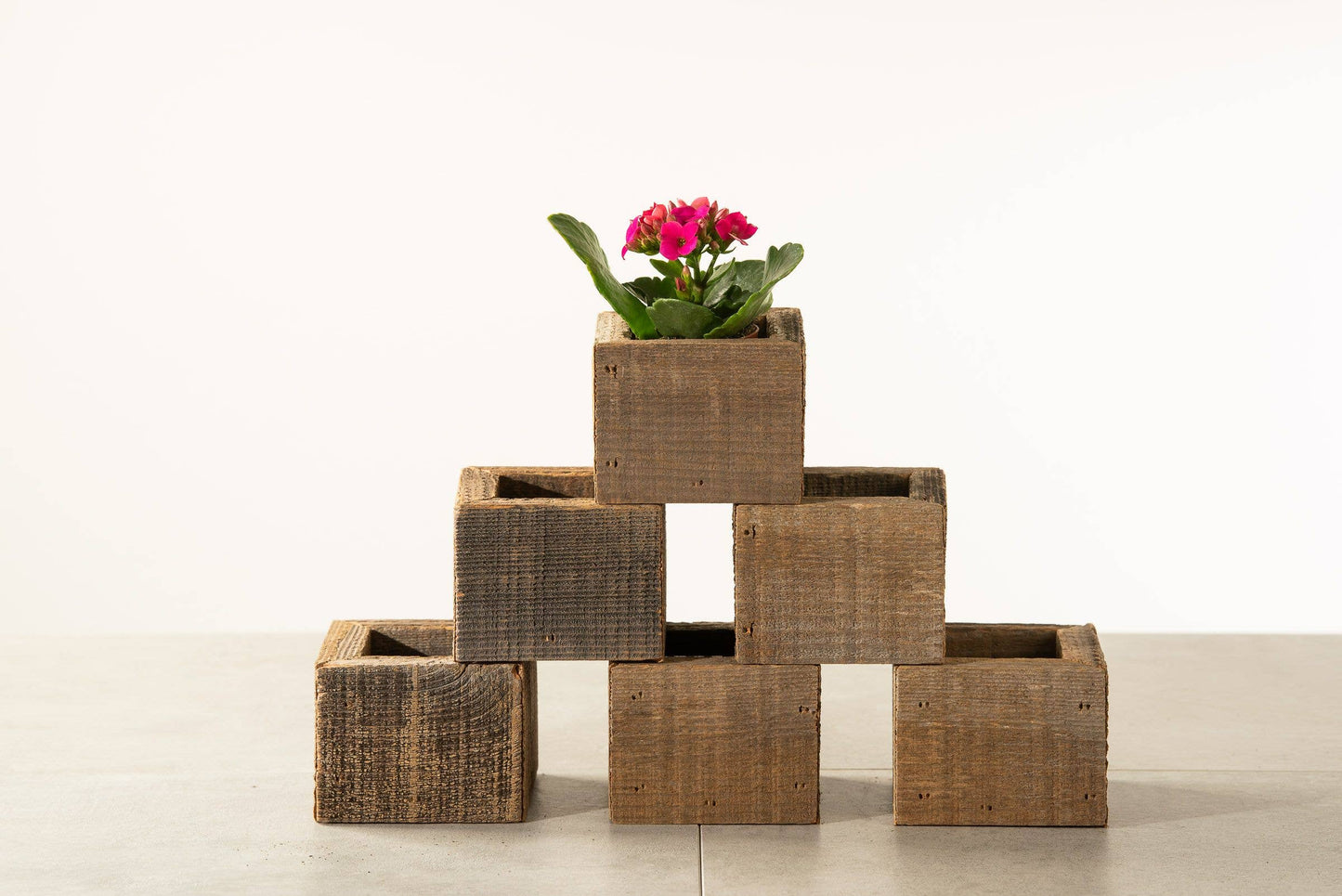 Reclaimed Wood Mini Square Planters with Assorted Succulent