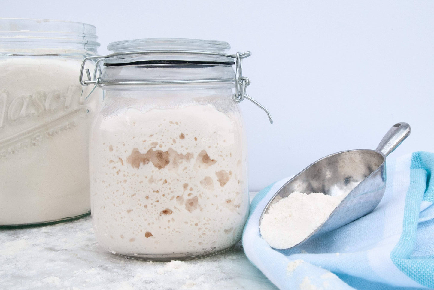 Mom's Place Gluten Free - Sourdough Start