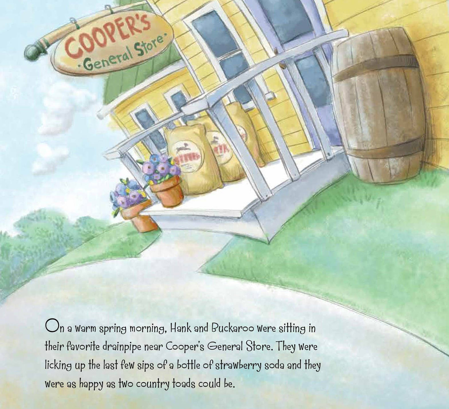 Back Roads, Country Toads Picture Book