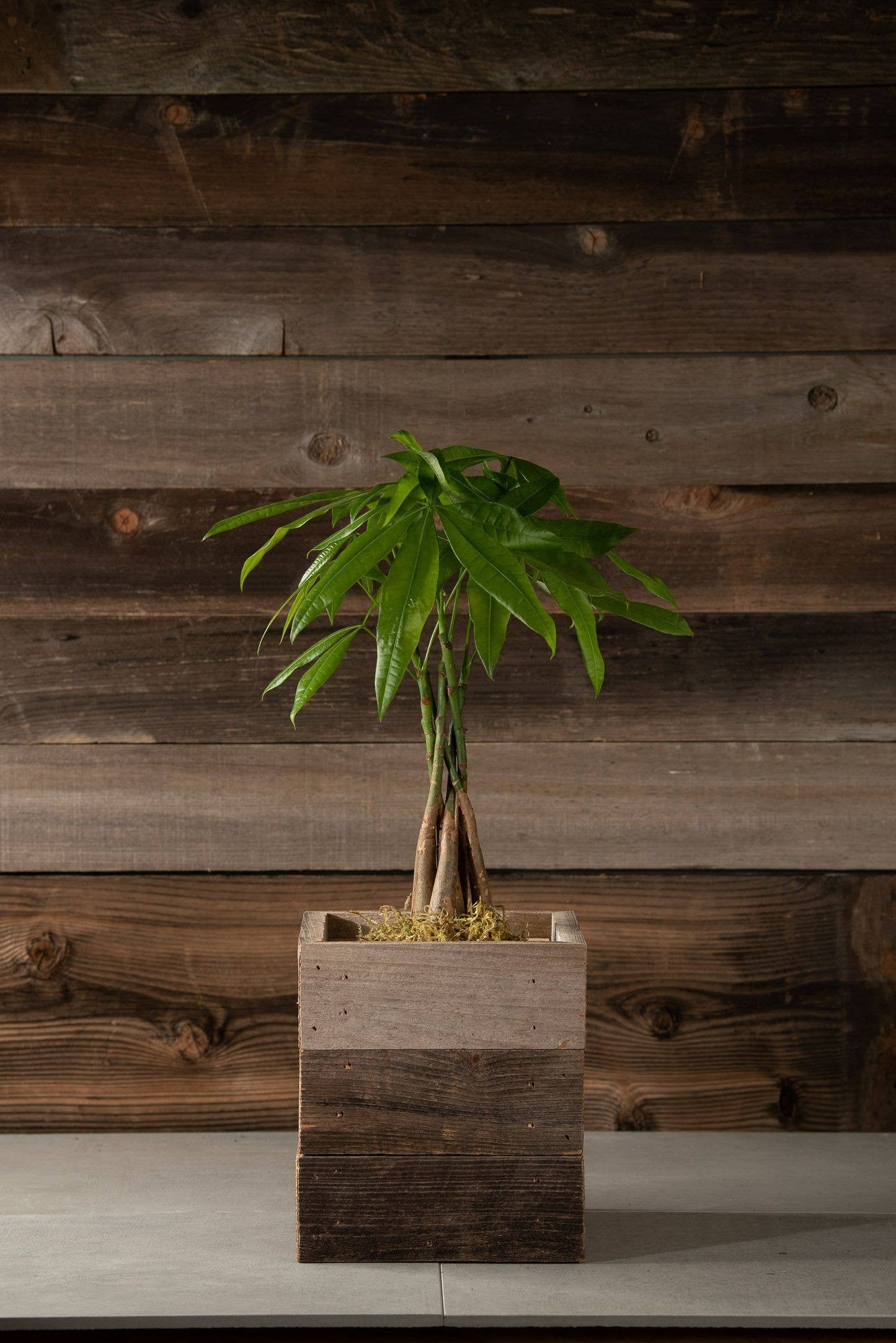 Rustic Reclaimed Wood Farmhouse Crock / Planter